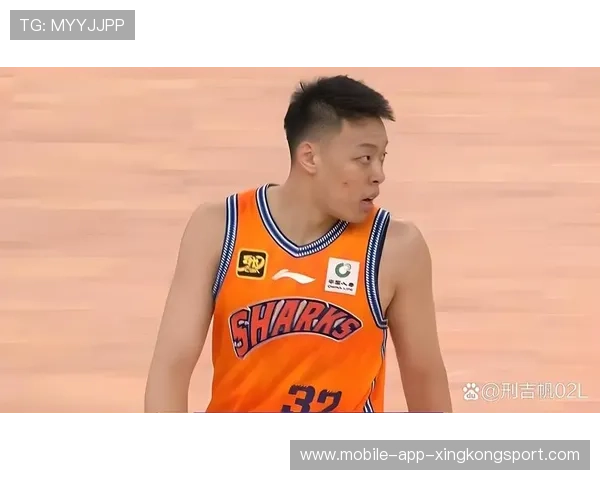 CBA辽宁外线三连击打出一波流