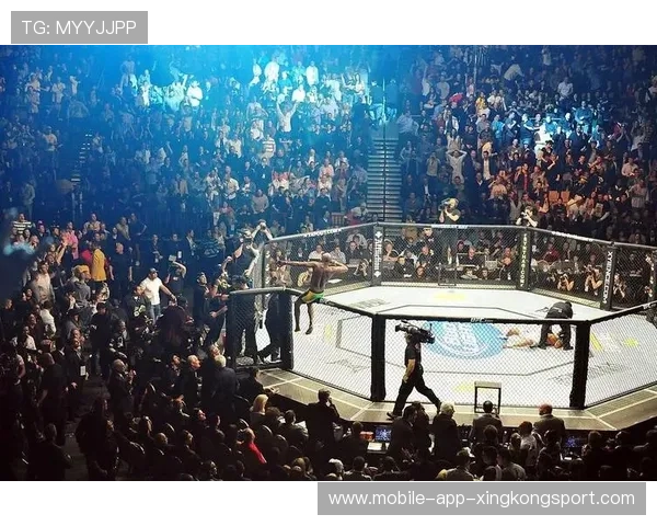 UFC锁技成功擂台瞬间爆发惊叹